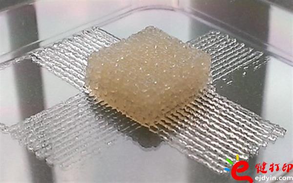 3d打印的材料有哪些,新型3d打印材料,3d打印材料價(jià)格,3d打印墨水,生物3D打印